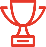 Experienced Professionals