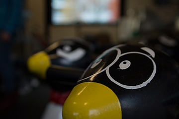 canal park ice skating washington dc physical therapy - penguin