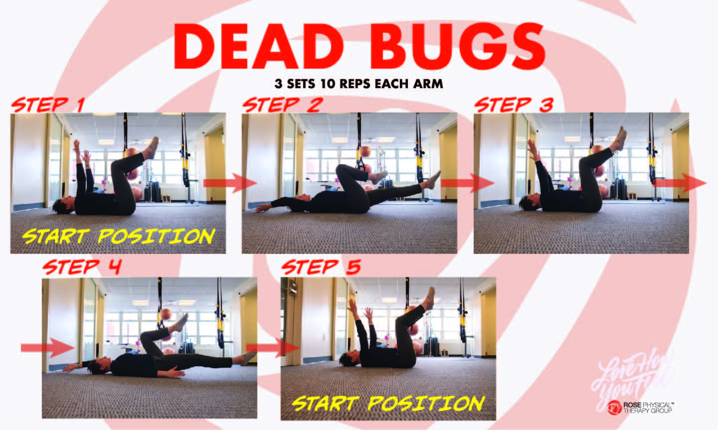 physical therapy dead bug exercise washington dc