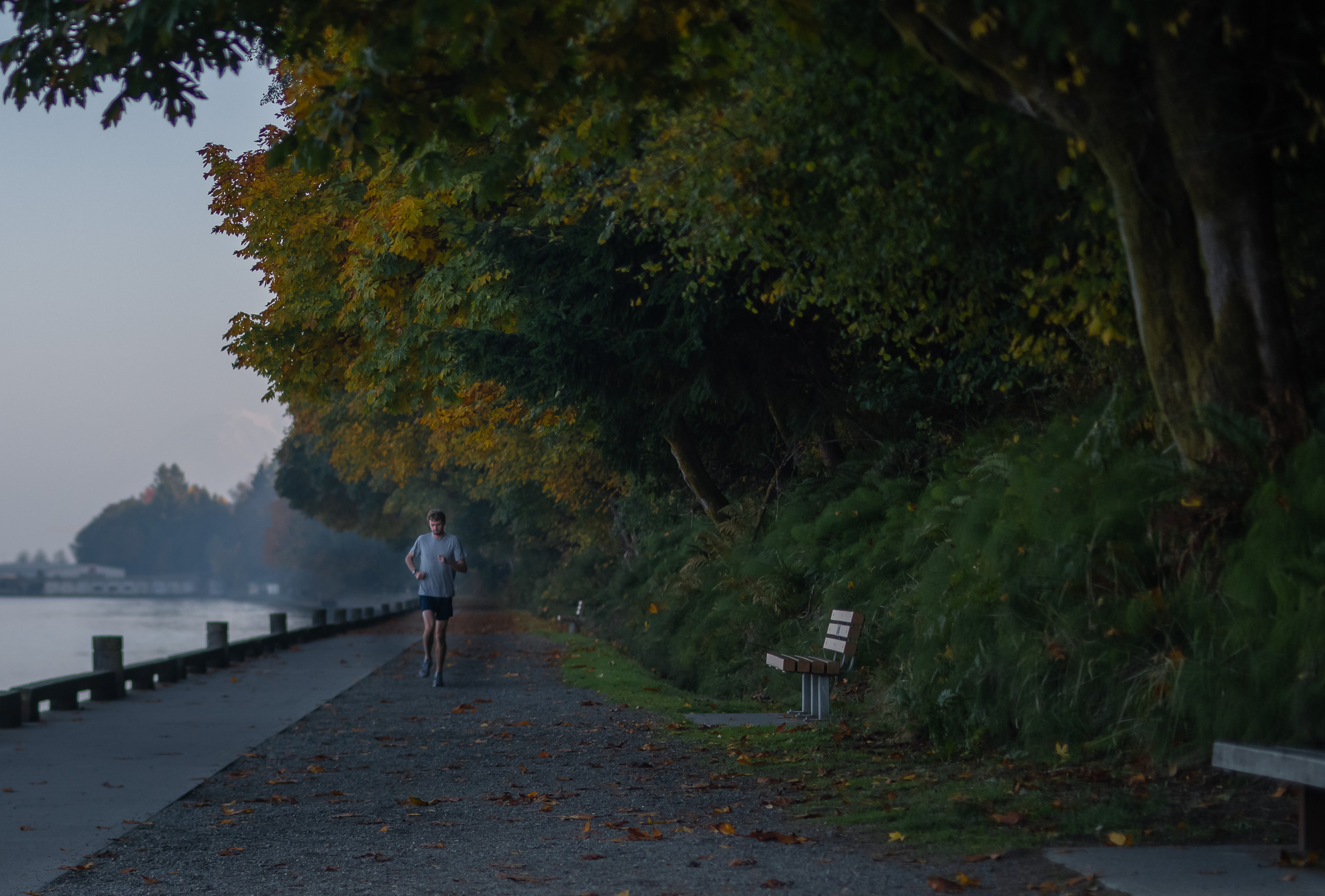 washington dc runner at defiance point physical therapy